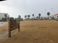 -碧海金沙