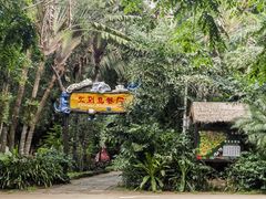 -海南热带野生动植物园