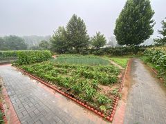 -意大利农场度假村