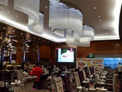 大堂-新兴·金羊座·粤菜点心(乐峰店)