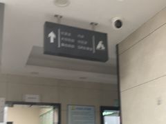 -半岛宠物医院24小时(白果林店)