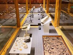 -河姆渡遗址博物馆