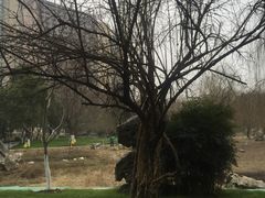 -堤角公园