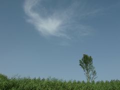 -白洋淀景区