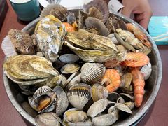 -天天鱼港·海鲜·鲅鱼水饺·招牌烤鸭(黄骅店)