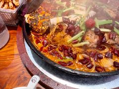 -老板恋上鱼(恒隆广场店)