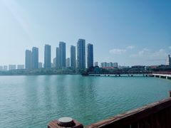 -五缘湾湿地公园
