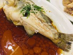 -金苑海鲜酒家(新港中路店)