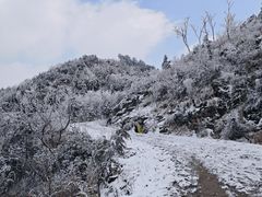 -四明山国家森林公园
