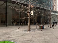 -Apple零售店(华贸购物中心店)