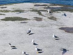-星海广场
