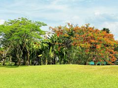 -中国科学院西双版纳热带植物园