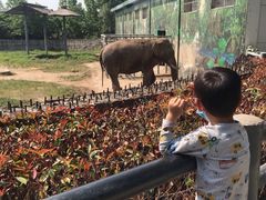 -西安秦岭野生动物园