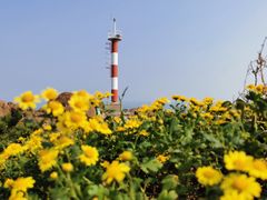 -灵山岛风景区