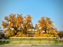 -北京石刻艺术博物馆(五塔寺)