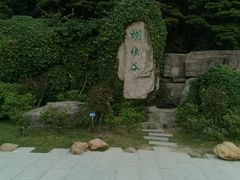 -梧桐山风景名胜区