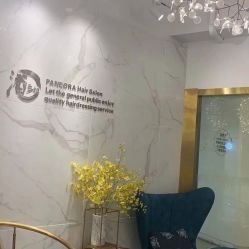 -潘多拉Hairsalon