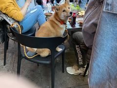 -陈小肠自助火盆烧烤(海门渔村美食街店)
