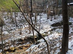 -穹窿山景区
