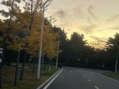 -林海公园
