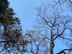 -黔灵山公园