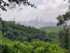 -广州市白云山风景名胜区