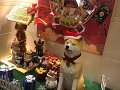 -大江户·温泉洗浴(浑南店)