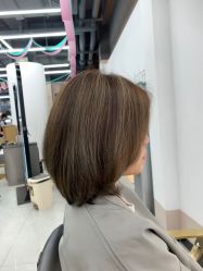 -世田造型