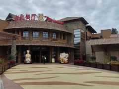 -上海野生动物园老虎餐厅