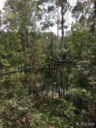 -成都飞越丛林(锦绣城园区)