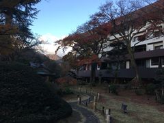 -ステーキハウス吉池