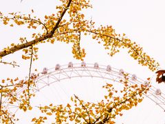 -天津之眼摩天轮