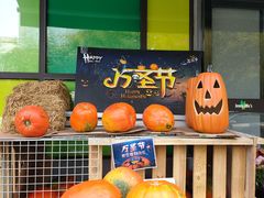 -婕妮璐超市 Jenny Lou’s Shop(三里屯店)
