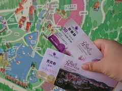 -大塘金香草谷
