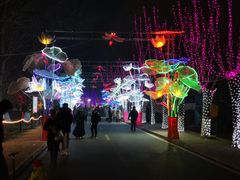 -北戴河集发农业梦想王国