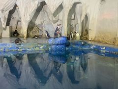 -太平洋海底世界