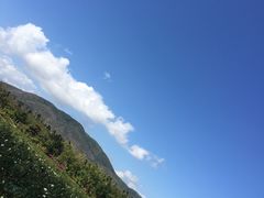景点-亚龙湾国际玫瑰谷
