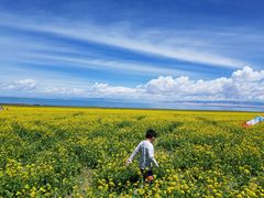 -青海湖国家重点风景名胜区售票处