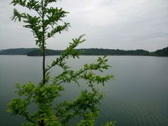 -仙海旅游度假区