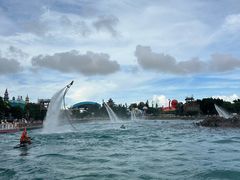 -珠海长隆海洋王国