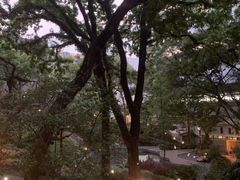 -香港大学