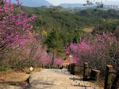 -天台山赤城山景区
