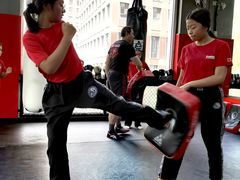 -极斗-IKMF马伽术·格斗运动学院(东直门店)