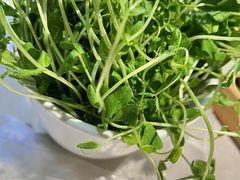 -浩爷羊蝎子火锅(望京店)