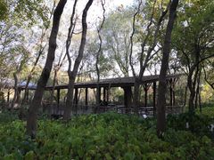 -西湖风景区-江洋畈生态公园