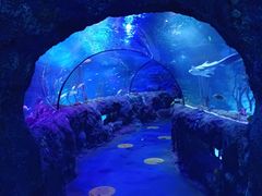 -沈阳海洋探索中心