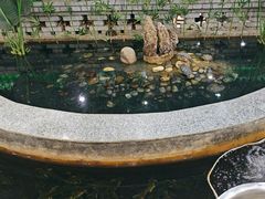 -夏家大锅台炖鱼馆