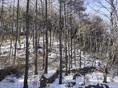 -北京密云天门山风景区