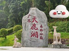 -大雁山风景区
