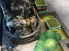 -东椰·海南椰子鸡火锅(朝阳门店)